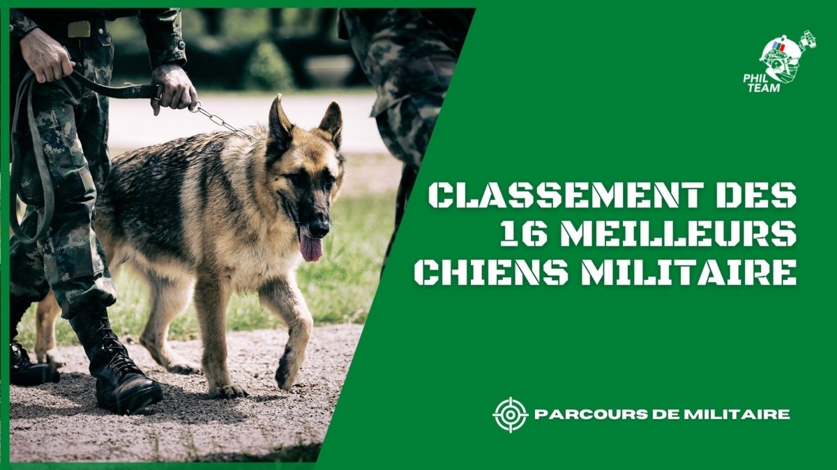 Classement des 16 Meilleurs Chiens Militaire - Phil Team