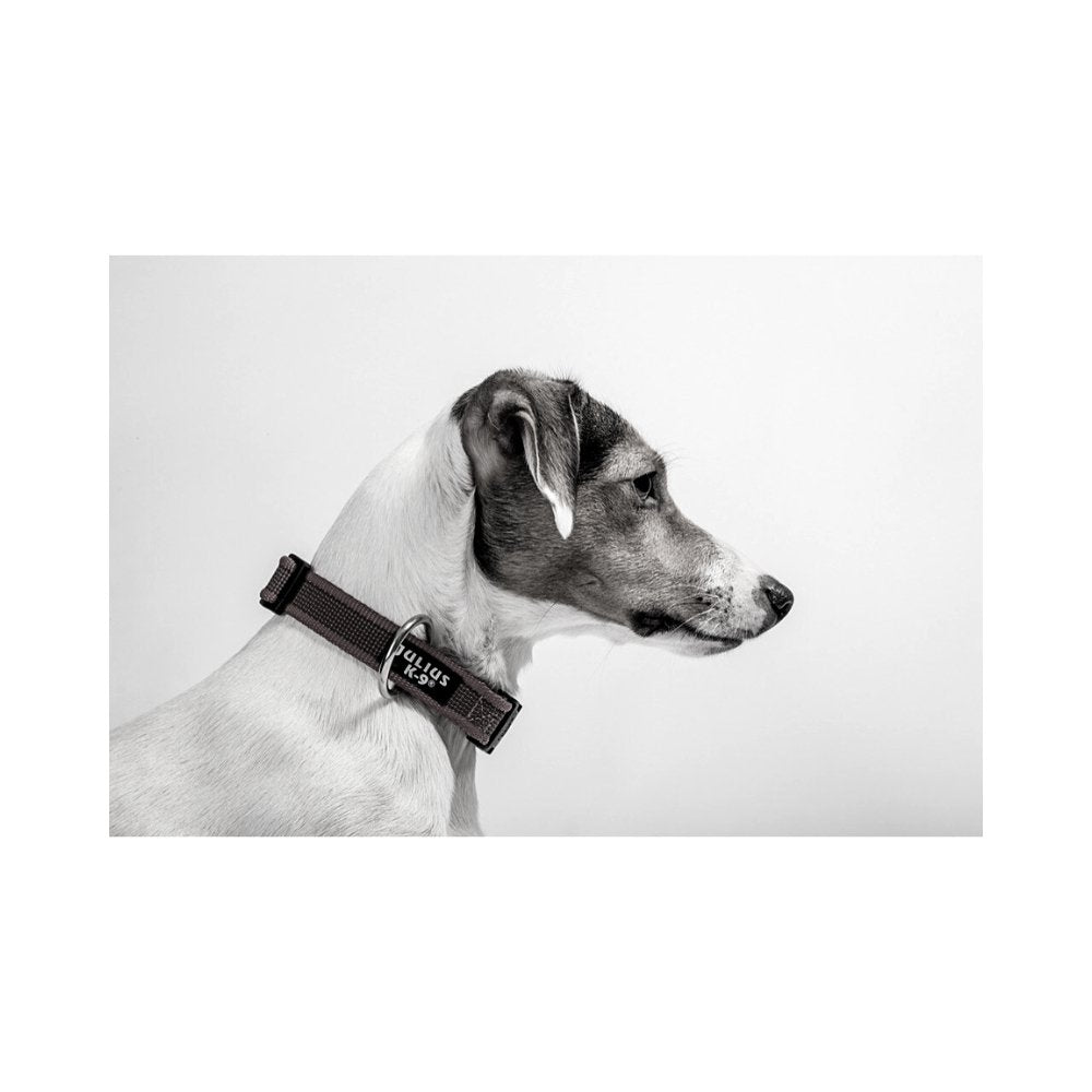 Collier pour chiens ajustable Julius-K9® Color&Gray® - PhilTeam