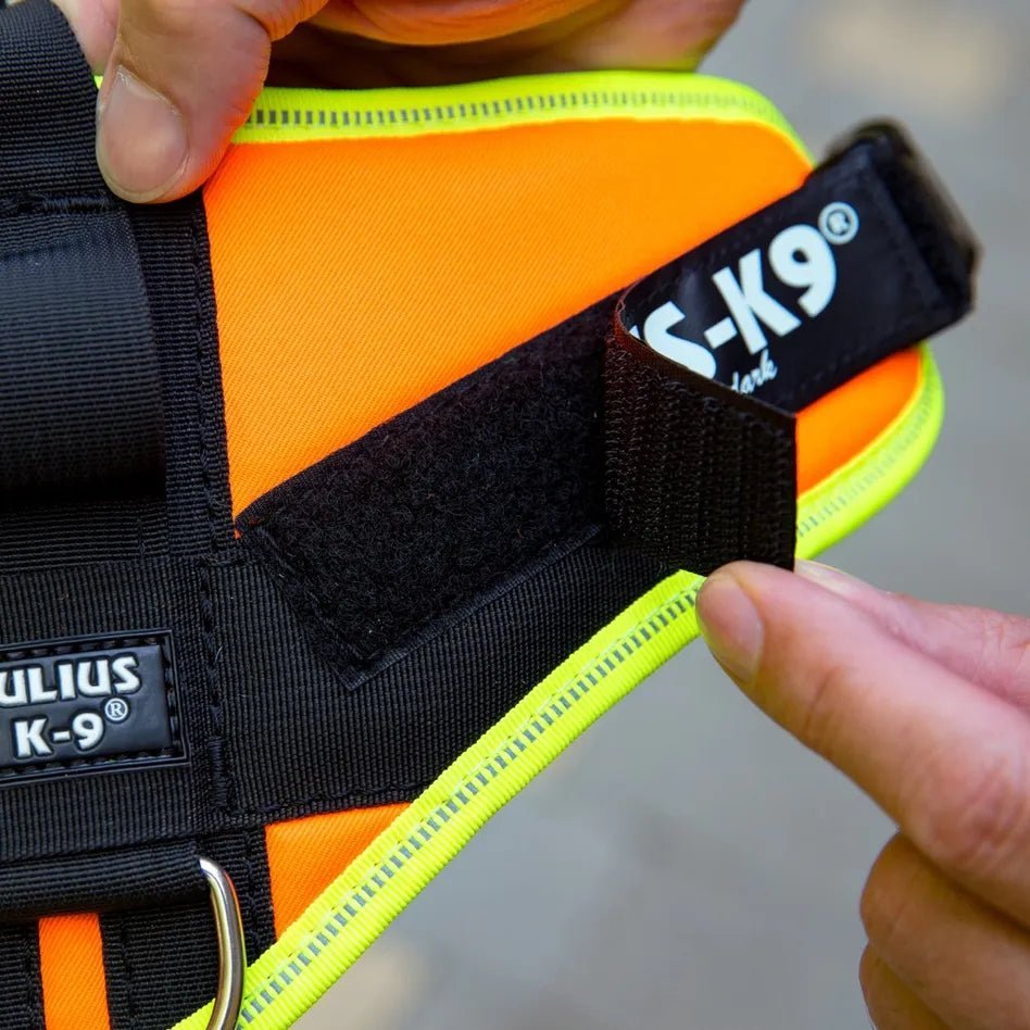 Harnais de pistage pour chiens - Julius K9 - PhilTeam